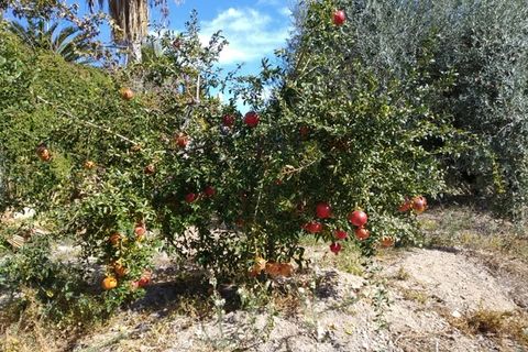 Landejendom i Comares, Malaga, Comares - € 255.000 | Ref: ID3986 - foto 27